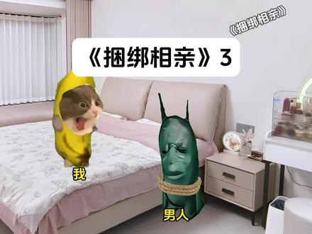 我跟特战队去国外救援,《捆绑相亲》3#猫meme#超爆小故事#猫meme小剧场