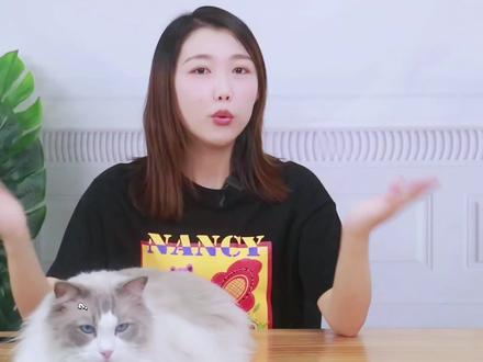 猫咪喜不喜欢你亲它?答案可能出乎你的预料! #萌宠出道计划 #猫知识 #科普 #猫 #铲屎官的乐趣