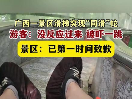 10月9日(发布),广西 丹炉山景区。广西一景区滑梯突现“同滑”蛇。游客:没反应过来,被吓一跳。景区:已第一时间致歉。关注👉@小政视频 #蛇 #滑道 #旅游 #景区 #抖音小助手 (来源@红星新闻)