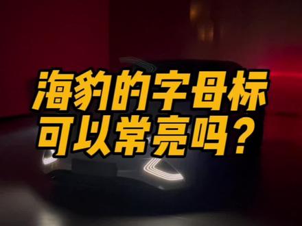 海豹的字母标可以常亮吗?我觉得亮着挺好看。#比亚迪 #比亚迪海豹 #汉ev #汉ev千山翠限量版 #汉dmi