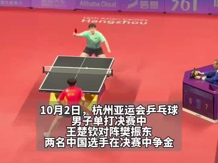 全在观众席看戏!#国乒男单内战教练席空缺 就当是训练!#杭州亚运会 #乒乓球 #樊振东 #王楚钦