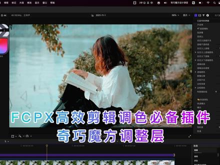 FCPX高效剪辑调色必备插件,奇巧魔方调整图层#fcpx教程 #调色 #剪辑技巧 #剪辑教程 #拍摄