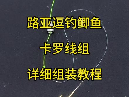 路亚逗钓鲫鱼线组搭配组装教程,简单好用#路亚 #钨钢子弹铅 #PE #水滴轮 #逗钓