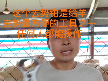 养殖场必备的工具,非常方便,快捷省时省力