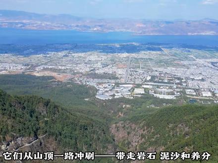 一边是海拔4000多米的苍山,一边是只有1900多米的洱海。超过2000米的落差,让水流获得了巨大的能量。而水带来了文明。#大理洱海 #大理 #地理科普 #云南旅游 #大理国