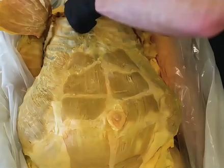 科普一下,一探究竟! #科普一下#涨知识