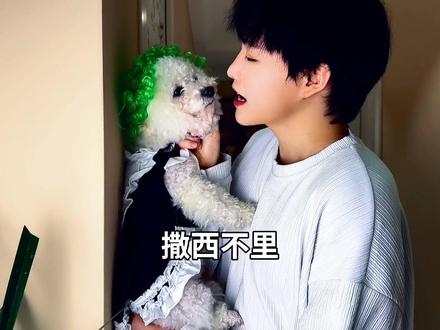 撒西不理哒呐 #我饮酒点孤灯 #撒西不理哒呐 #抽象 #翻唱