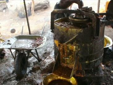 棕榈油是最便宜的植物油,还有致癌风险,为何印尼还要大量种植?