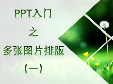 PPT入门之多张图片排版(一) #真实生活分享计划 #ppt图文排版 #你的PPT妙招来啦 #分享你的PPT技巧吧 #图片处理技巧