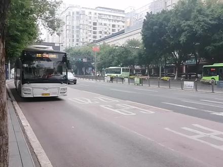 自贡公交315路全程展望