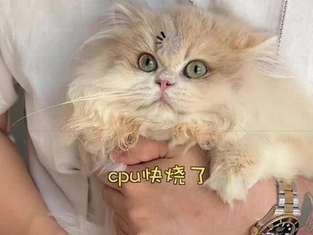 好啦,原来是个憨坨胖妹妹😂
