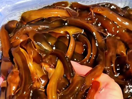 全国溪流看贵州?终于明白钓鱼佬都爱往贵州跑了#鱼 #淡水鱼 #贵州