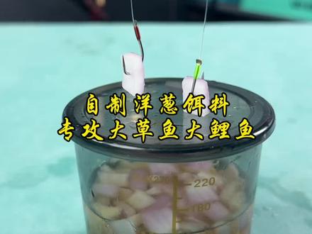 自制洋葱饵料,草鱼钓到手软 #自制饵料 #饵料测评 #钓鱼技巧