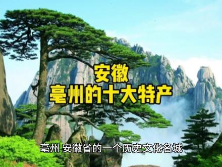 安徽亳州的十大特产#互换特产 #地方特产 #特产 #分享家乡特产 #家乡特产