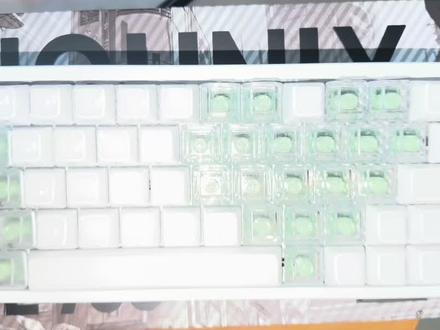 1399满改ev63 粉藕/绿玛瑙八宝+碳纤维定位版+自选键帽 背板 pcb全新模组 享受官方质保#客制化键盘#瓦#ev63