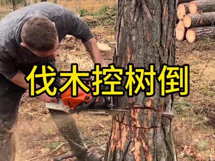 伐木居然还有这么多技巧
