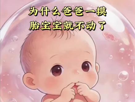 为什么爸爸一摸胎宝宝就不动了#胎动 #胎宝宝在肚子里的状态 #孕期 #孕期知识 #孕期知识每天不断更新