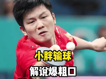 樊振东欧冠决赛两战一局没赢!解说破防了爆粗口?打球还是搅局?