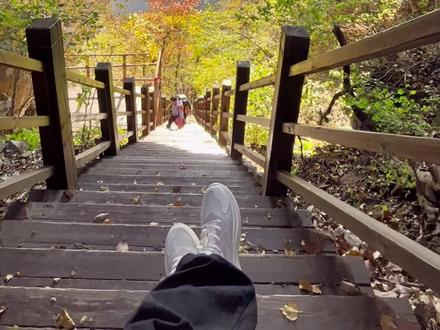 #秋意浓 身体能去的地方,不要让心有遗憾,一起去爬山🧗♀️吧!