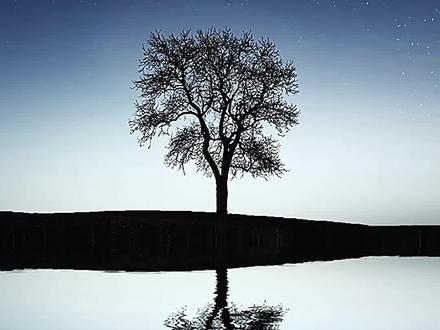 #新年换上新毛巾 #最生活毛巾 没有翅膀的小鸟,通往梦想的飞翔