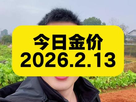 今日金价 2026年2月13日最新黄金 、白银、铂金价格出炉#金价 #黄金价格 #今日金价 #黄金价格今日多少一克 #白银价格