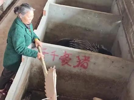 古有草船借箭,今有……
