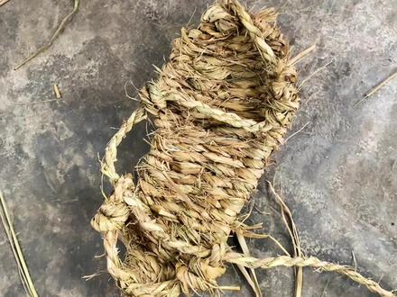 #请开始你的表演 旅游不好做啊!还没开始就来个炸弹💣我们都去学习编草鞋这种非物质文化遗产了!