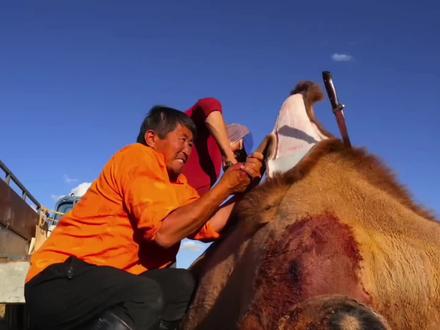 澳洲狠人大叔烤驼峰,一般人都不敢尝试的美味,制作过程真带劲#地方特色美食 #美食