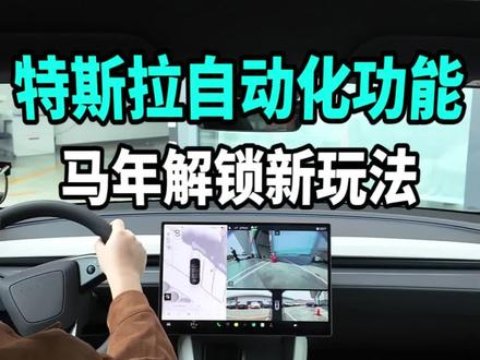 特斯拉马年新玩法:自动化功能#新能源电动汽车 #特斯拉 #马斯克