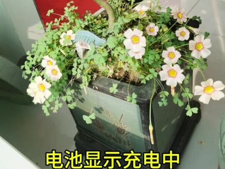 客户笔记本type-c充电接口不能充电,解决了顺便录个视频希望遇到类似问题可以帮助你解决问题,客户的笔记本是小新pro16#联想笔记本#type-c接口 #笔记本充电