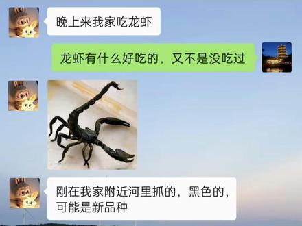 龙虾|《龙虾》她真的是睡着了吗?没接电话了……#聊天记录截图 #聊天记录 #搞笑#抖音热门小助手