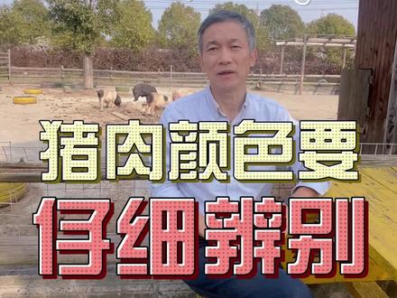冒绿光?猪肉的颜色要仔细辨别 #猪肉 #光 #科普
