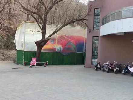 济南鳌鱼找到了,在淄博红叶柿岩景区#鳌鱼