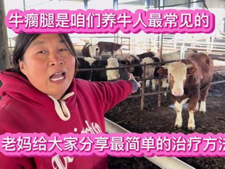 牛瘸腿是咱们养牛人最常见的,老妈给大家分享最简单的治疗方法 #养牛人 #养牛技术 #肉牛养殖