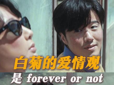 白菊的爱情观是forever or not#生命树 #杨紫 #张哲华