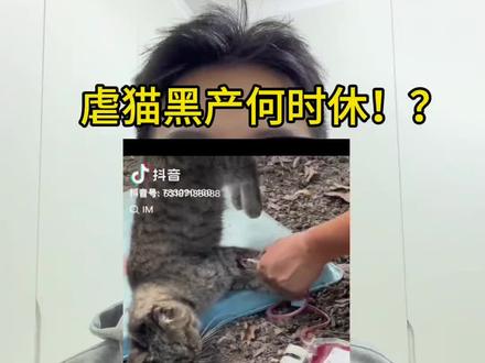 某地又现虐猫抽血事件
#动物血库 #虐猫 #动物立法保护