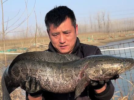 小猪一样的大佬黑 大家有没有看过 #户外捕鱼 #直播抓鱼直播 #大佬黑