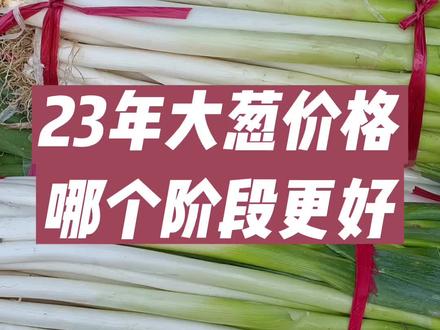 有没有和我一样,也想知道的?那咱们一起分析分析!#新农人计划2023 #农业 #三农