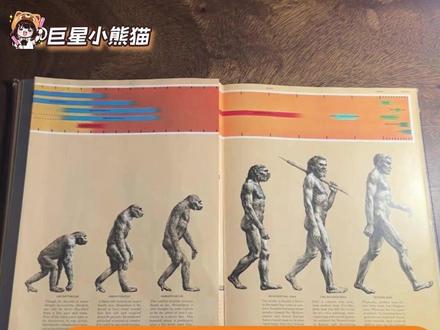 辛辛苦苦学了点错知识(cr:何老师在发呆)#涨知识啦 #科普 #进化论 #万万想不到