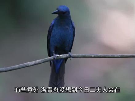 #书单 我家娘子,不对劲(83)#历史 #故事 #好书分享 #小说 @DOU+上热门