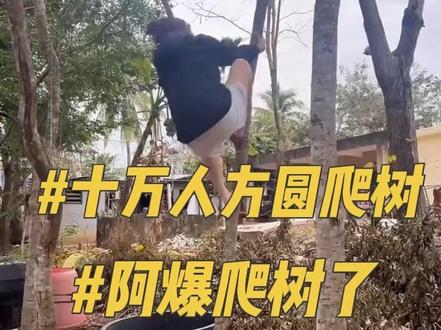 12.11方圆阿爆直播,@-甜甜圈- 方圆十万人爬树,赶紧摇人;阿爆爬树,阿爆已经爬了,小爆这精力无敌@阿爆 @方圆 #方圆#阿爆#方圆阿爆#直播录屏分享 #危险动作请勿模仿
