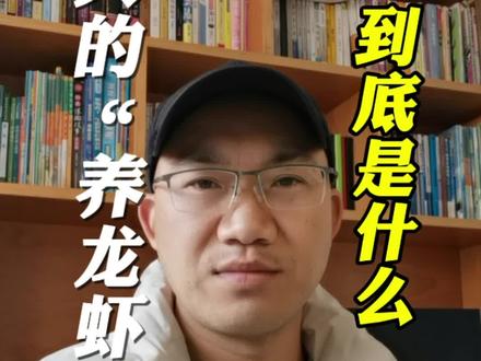 爆火的“养龙虾”,到底是什么?是一只属于你的,会自己长大的“AI电子宠物。”#股票#财经#养龙虾