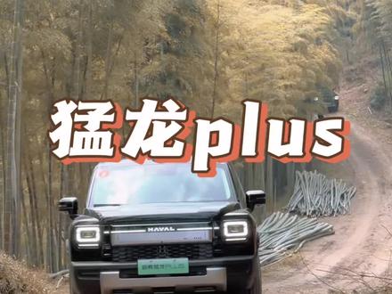这样的猛龙plus你们喜欢吗?#有棱角的人聊有棱角的车#哈弗猛龙PLUS#家用方盒子怎么选