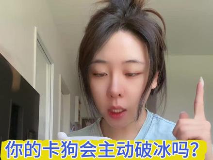 你的卡狗会破冰吗?#塔罗测试 #日更