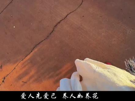 金秋是理性的强者,爱情的弱者;她赢了事业与体面,却输了最想要的心动。她的清醒,是铠甲,也是牢笼。#我的郁金香小姐#金秋#治愈系文字 #热门 #江桥
