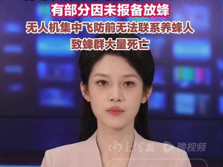 油菜要防病,蜜蜂也要活命 近日,油菜主产区因无人机飞防引发蜜蜂大量死亡一事引发热议。一边是为防治油菜菌核病、国家推广的“一促四防”技术;另一边是蜂农因飞防导致蜜蜂成群死亡,一年生计濒临崩盘。记者调查发现,政策明确要求,无人机飞防需提前告知蜂农、选用低毒药剂、避开蜜蜂活跃时段,但基层执行存在漏洞,有蜂农因曾在2023年就遭遇过无预警飞防,导致蜜蜂死亡,今年索性放弃油菜花蜜源,靠给蜜蜂喂白糖续命。但也有蜂农系未按规定报备放蜂信息,导致政府集中飞防前无法通知,最终蒙受损失。有受访蜂农表示。她支持农业技术的更新迭代,也希望技术进步的同时,能充分考虑蜂农利益,无论是蜂农个人还是政府部门,都应该规范而行。#大河深一度 #油菜花 #蜜蜂 #无人机