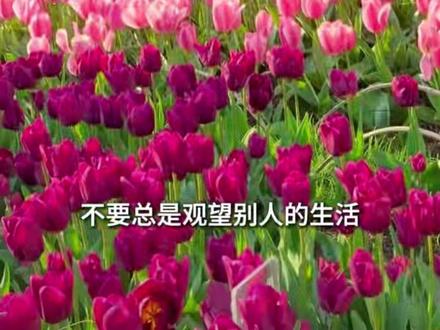 #刘晓艳 :不要总觉得周围的人过得比自己好 #刘晓艳 :不要总觉得周围的人过得比自己好 谁的生活不是一地鸡毛(剪辑:实习生于墨涵)