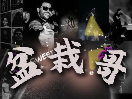 盆栽哥香港启德场最全座位攻略! #theweeknd #theweeknd香港演唱会 #盆栽哥 #欧美音乐 #盆栽哥演唱会