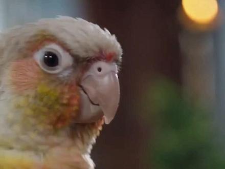 #AI古风郡主冲突 #抖音ai创作 抖音真强大🤣🤣