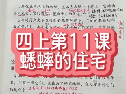 四年级上册第11课,蟋蟀的住宅,学过的同学快看看这些重点有没有掌握#四年级 #小学语文 #知识点总结 #四年级上册语文 #语文